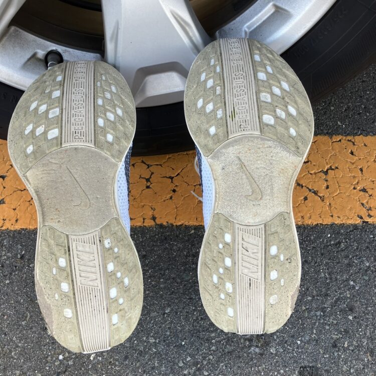 ペガサスプラス