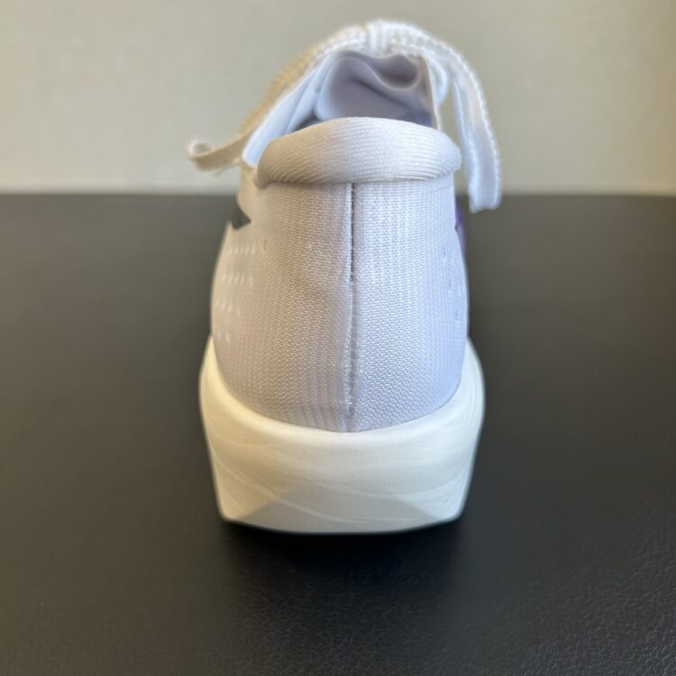 メタスピードレイ