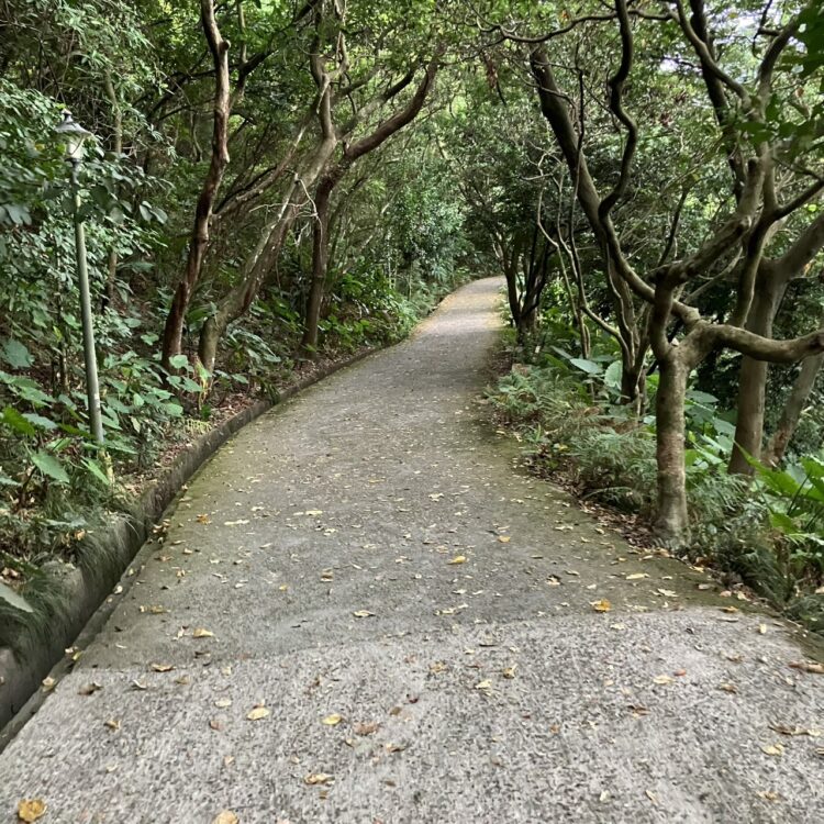 台湾