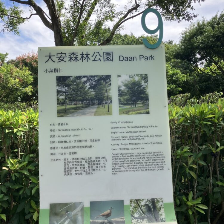 台湾